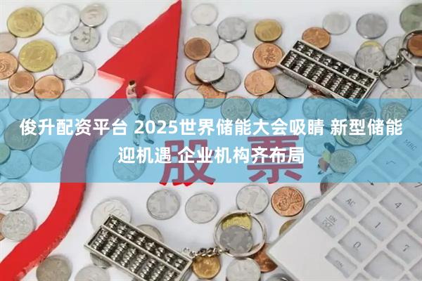 俊升配资平台 2025世界储能大会吸睛 新型储能迎机遇 企业机构齐布局