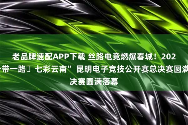 老品牌速配APP下载 丝路电竞燃爆春城！2025“一带一路・七彩云南” 昆明电子竞技公开赛总决赛圆满落幕